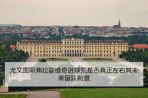 尤文图斯弗拉霍维奇进球荒是否真正左右其未来留队前景 | leyu